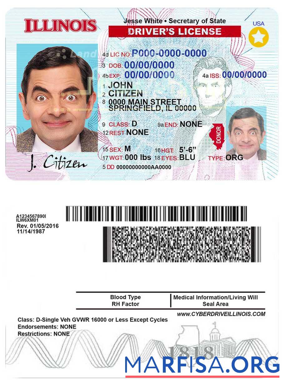 Blank USA Illinois driving license real example
